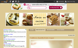 noviceencuisine.com website preview