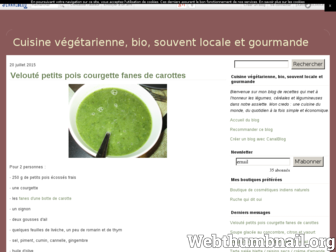 cuisinervegebio.canalblog.com website preview