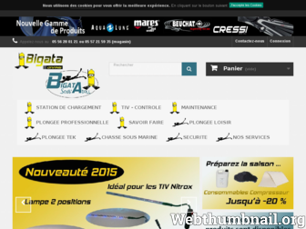 bigata.fr website preview