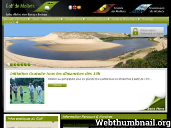 golfmoliets.com website preview
