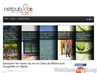 news.netpub.fr website preview