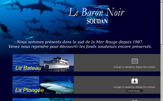lebaronnoir.com website preview
