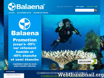balaena.fr website preview