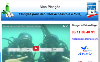 nicoplongee.com website preview