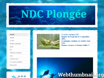 ndcplongee.fr website preview