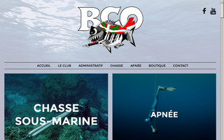 biarritz-chasse-ocean.fr website preview