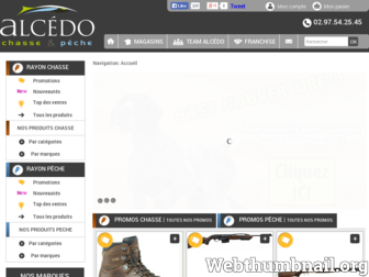 alcedo.fr website preview