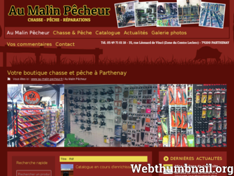 au-malin-pecheur.fr website preview