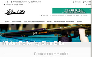 blue-elite.com website preview