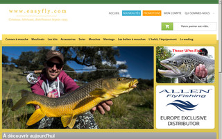 easyfly.com website preview