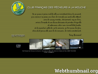 cfpm-mouche.fr website preview