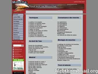 mouche.biz website preview