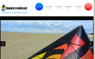 droledoiseau.com website preview