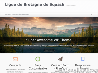 liguebretagnesquash.fr website preview