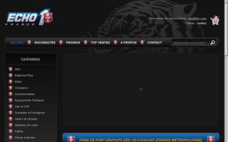 echo1.fr website preview