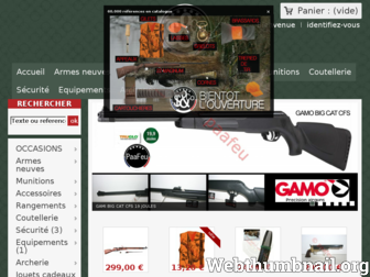 paafeu.com website preview