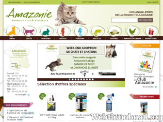 amazonie.com website preview