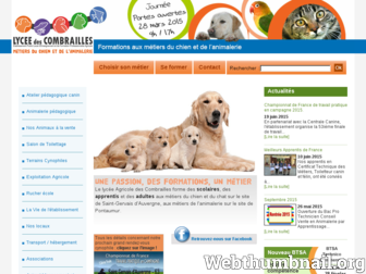 metiers-chien-animalerie.fr website preview