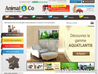 animaleco.com website preview