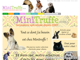 minitruffe.com website preview