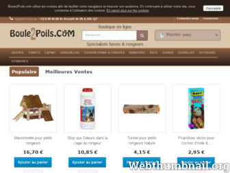 boule2poils.com website preview