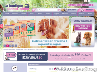 boutique-chat-chien.fr website preview