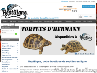 reptiligne.fr website preview
