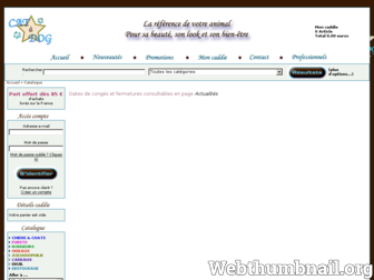 catadog.com website preview
