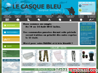 lecasquebleu.fr website preview