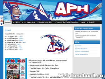 aph-hockey.com website preview