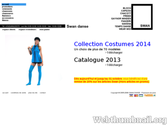 swan-danse.com website preview
