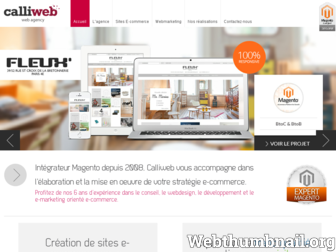 calliweb.fr website preview