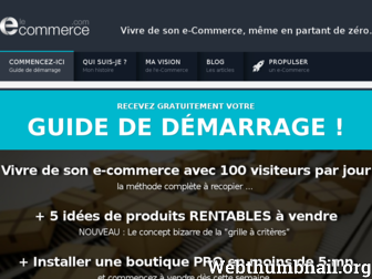 le-ecommerce.com website preview