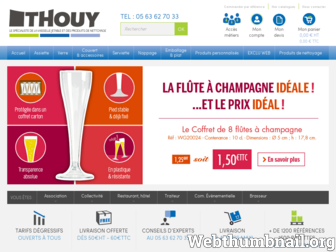 vaissellejetable.fr website preview