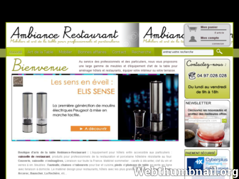 ambiance-restaurant.com website preview