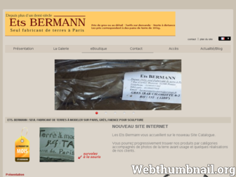 bermannterres-paris.com website preview