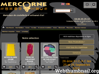 mercorne.fr website preview