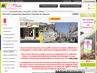 ucia-chaumont.fr website preview