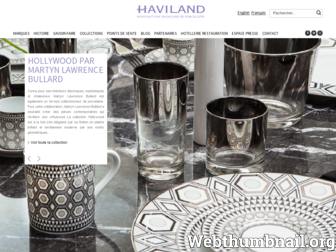 haviland.fr website preview