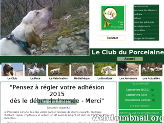 clubduporcelaine.fr website preview