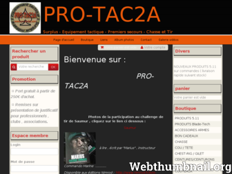 pro-tac2a.com website preview