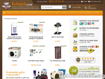 feliweb.com website preview