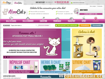 atoocat.fr website preview