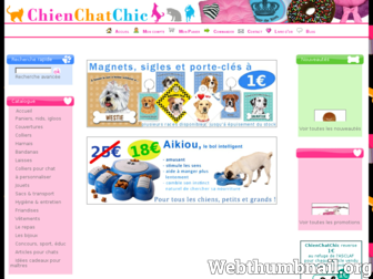chienchatchic.com website preview