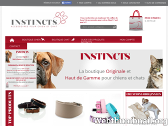 instincts.fr website preview