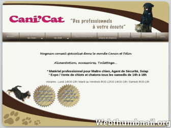 canicat31.com website preview