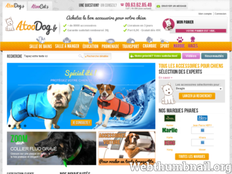 atoodog.fr website preview