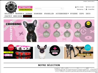 madeindog.com website preview