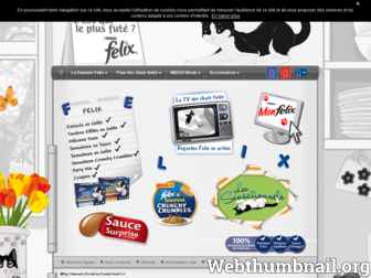 purina-felix.fr website preview