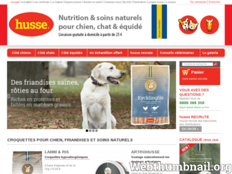 husse.fr website preview